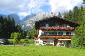 Гостиница Pension Apartment Steiner, Эльмау